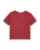 The Quiksilver Womens Essential T-Shirt in Oxblood Red