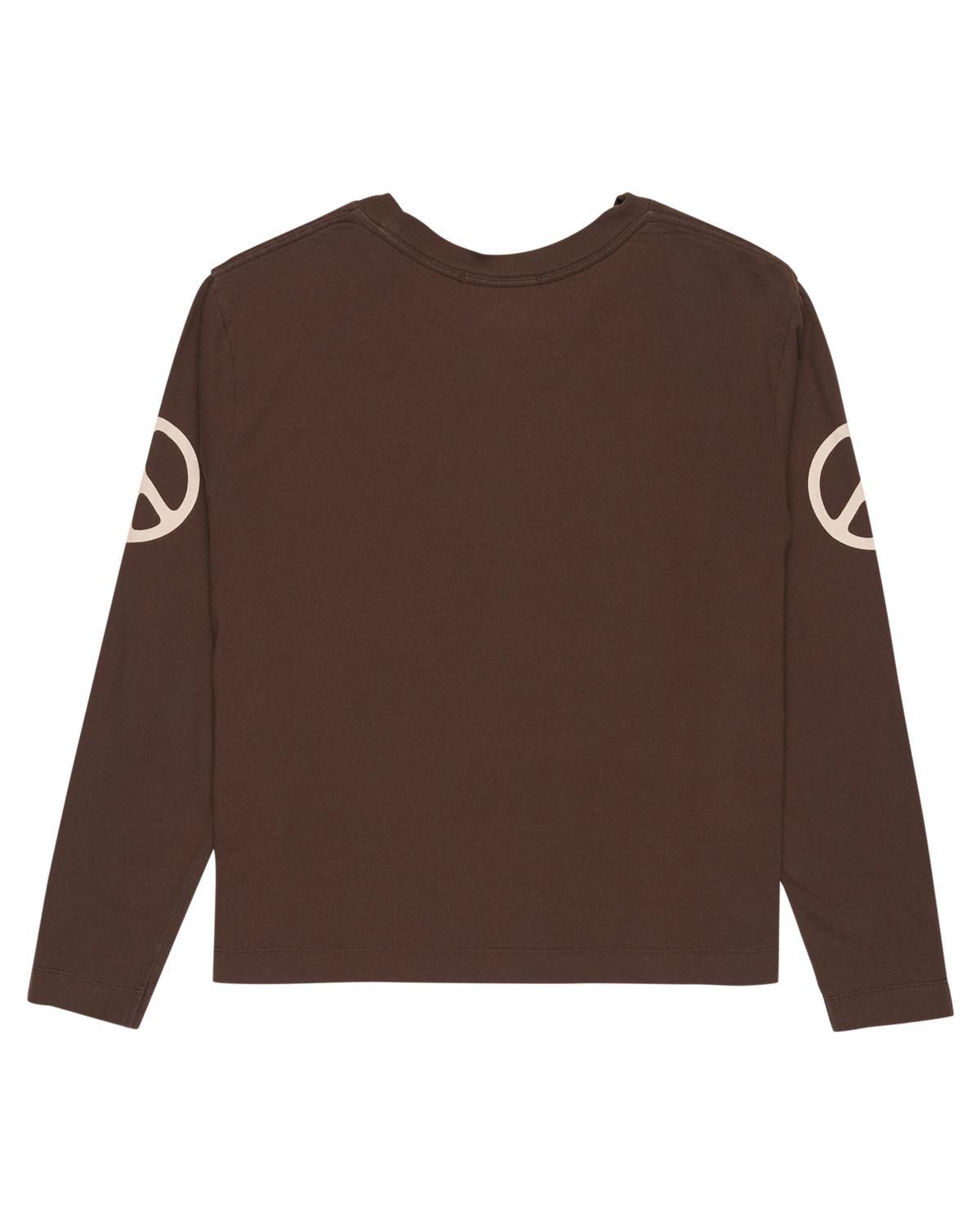 The Quiksilver  Womens Standard Long Sleeve T-Shirt in Chocolate Brown