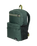 The Quiksilver Hog 20L Backpack in Forest