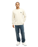 The Quiksilver Mens Straight Denim Jeans in Stone Dirty