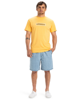 The Quiksilver Mens Taxer Denim Walkshorts in 2001 Stone Wash