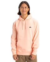The Quiksilver Mens Basic Hoodie in Peach Parfait