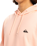 The Quiksilver Mens Basic Hoodie in Peach Parfait