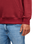 The Quiksilver Mens Basic Hoodie in Oxblood Red