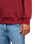The Quiksilver Mens Basic Hoodie in Oxblood Red