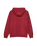 The Quiksilver Mens Basic Hoodie in Oxblood Red