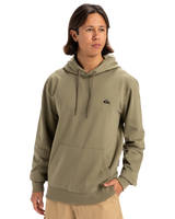 The Quiksilver Mens Basic Hoodie in Aloe