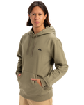 The Quiksilver Mens Basic Hoodie in Aloe