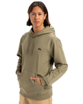 The Quiksilver Mens Basic Hoodie in Aloe
