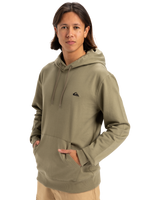 The Quiksilver Mens Basic Hoodie in Aloe