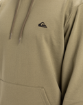 The Quiksilver Mens Basic Hoodie in Aloe