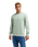The Quiksilver Mens Basic Sweatshirt in Iceberg Green