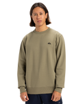 The Quiksilver Mens Basic Crew Sweatshirt in Aloe
