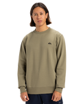 The Quiksilver Mens Basic Crew Sweatshirt in Aloe