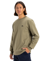 The Quiksilver Mens Basic Crew Sweatshirt in Aloe