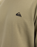 The Quiksilver Mens Basic Crew Sweatshirt in Aloe