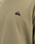 The Quiksilver Mens Basic Crew Sweatshirt in Aloe
