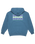The Quiksilver Mens APOG Heritage Hoodie in Real Teal