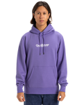 The Quiksilver Mens Fineline Hoodie in Dusted Peri