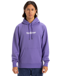 The Quiksilver Mens Fineline Hoodie in Dusted Peri