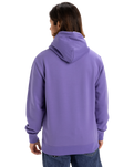 The Quiksilver Mens Fineline Hoodie in Dusted Peri