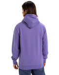 The Quiksilver Mens Fineline Hoodie in Dusted Peri