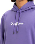 The Quiksilver Mens Fineline Hoodie in Dusted Peri