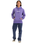 The Quiksilver Mens Fineline Hoodie in Dusted Peri