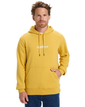 The Quiksilver Mens Fineline Hoodie in Rattan