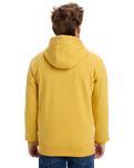 The Quiksilver Mens Fineline Hoodie in Rattan