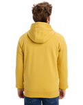 The Quiksilver Mens Fineline Hoodie in Rattan
