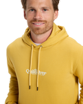 The Quiksilver Mens Fineline Hoodie in Rattan