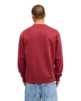 The Quiksilver Mens Salt Water Sweatshirt in Oxblood Red