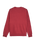The Quiksilver Mens Salt Water Sweatshirt in Oxblood Red