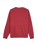 The Quiksilver Mens Salt Water Sweatshirt in Oxblood Red
