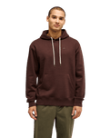 The Quiksilver Mens Salt Water Hoodie in Java