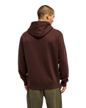 The Quiksilver Mens Salt Water Hoodie in Java