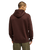 The Quiksilver Mens Salt Water Hoodie in Java