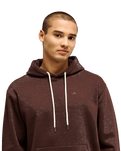The Quiksilver Mens Salt Water Hoodie in Java