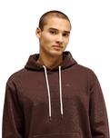 The Quiksilver Mens Salt Water Hoodie in Java