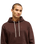 The Quiksilver Mens Salt Water Hoodie in Java