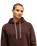 The Quiksilver Mens Salt Water Hoodie in Java