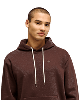 The Quiksilver Mens Salt Water Hoodie in Java