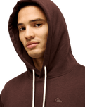 The Quiksilver Mens Salt Water Hoodie in Java