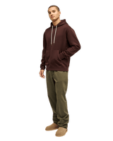 The Quiksilver Mens Salt Water Hoodie in Java