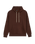 The Quiksilver Mens Salt Water Hoodie in Java
