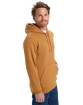 The Quiksilver Mens Light Waves Hoodie in Almond