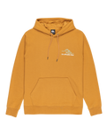 The Quiksilver Mens Light Waves Hoodie in Almond
