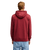 The Quiksilver Mens Fineline Hoodie in Oxblood Red