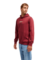The Quiksilver Mens Fineline Hoodie in Oxblood Red